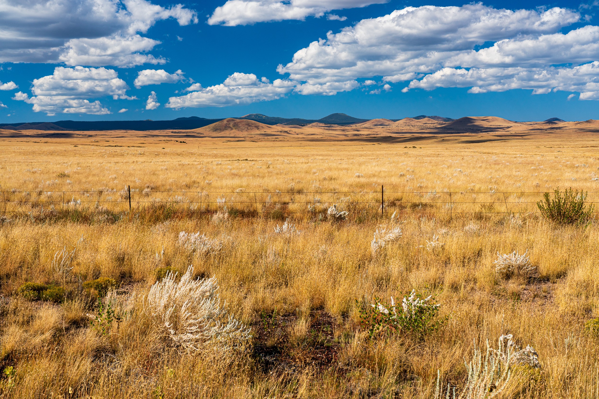 USA 2024 5 Sterne 77